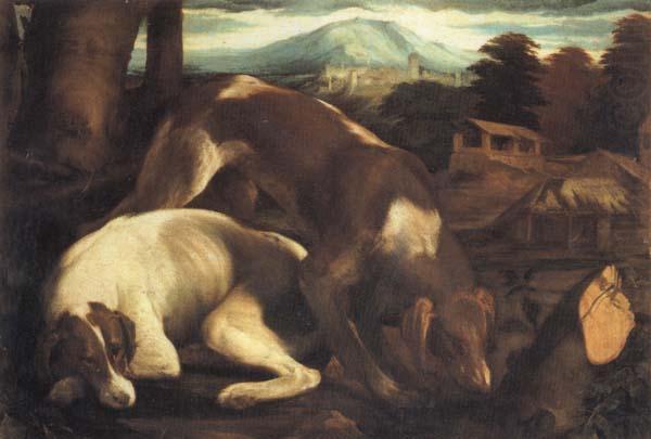 Two Dogs, Jacopo Bassano